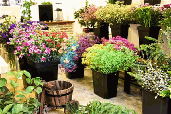 那时花开花店