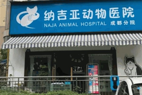 纳吉亚动物医院