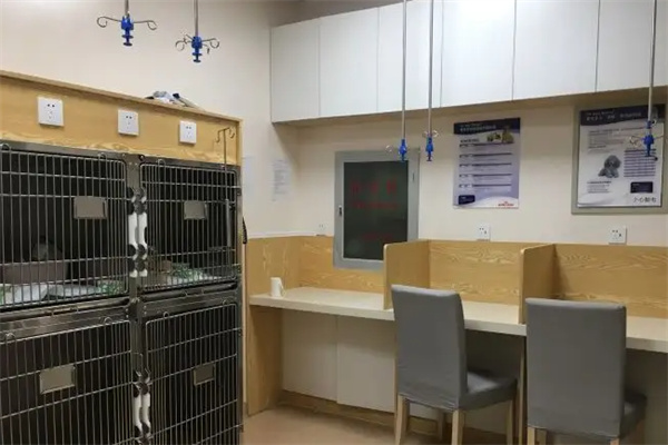 菲利斯宠物医院加盟