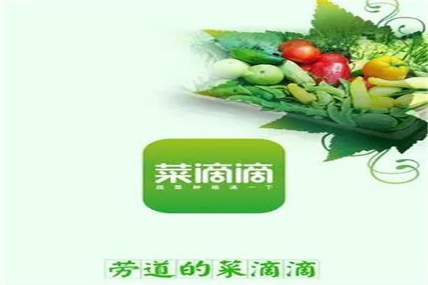 菜滴滴app