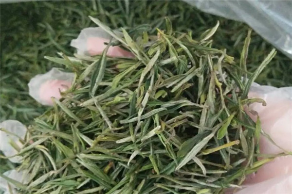 歙县茶叶