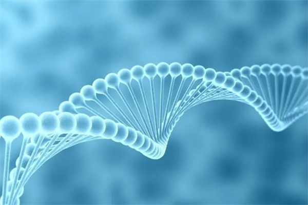 天丰华阳生物加盟