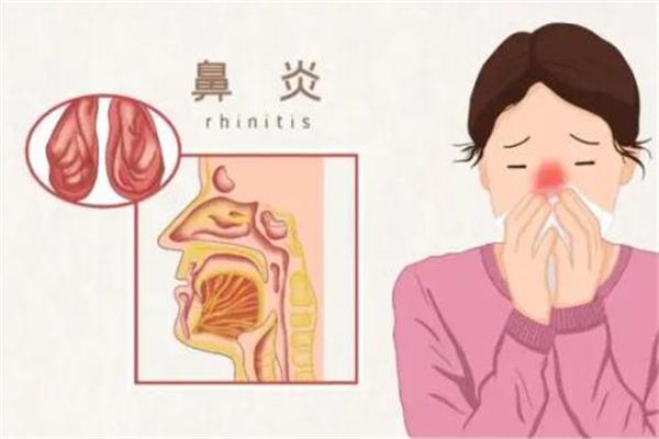 鼻保姆