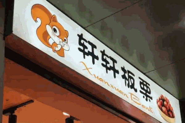 轩轩板栗