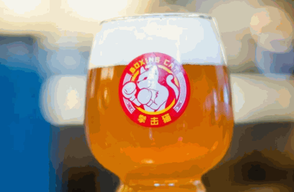 拳击猫啤酒屋做吗？只需要满足基本投资费用即可