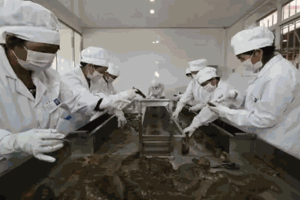 新颖佳生物科技