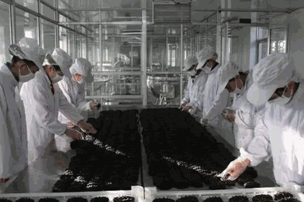 新颖佳生物科技