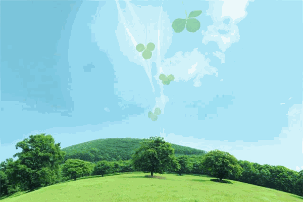 馨清空气净化