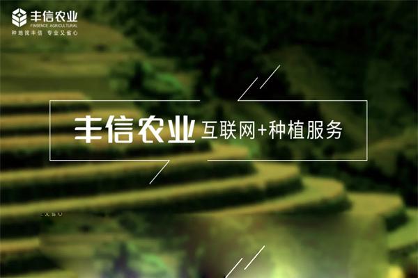 丰信农业
