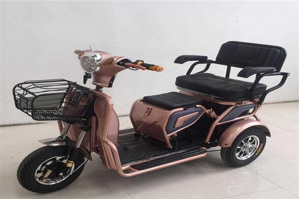 钻迪电动车