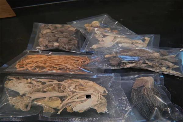 贡滋堂阿胶
