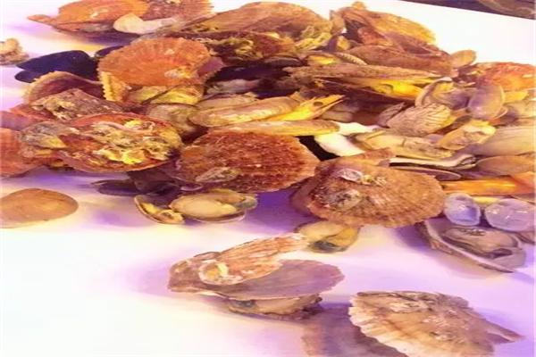 嗨贝海鲜吃货俱乐部