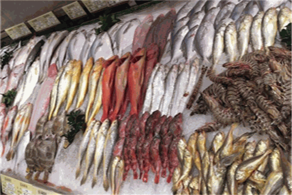 海客渔都海洋食品