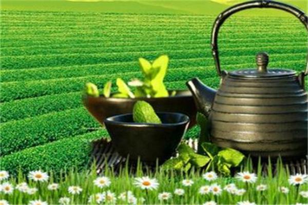 碧陇香茶叶