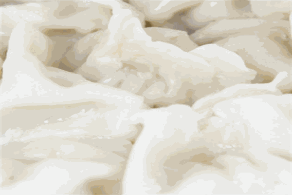 和师傅罐罐饺子