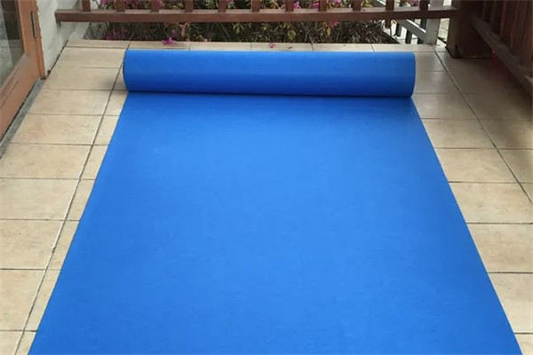 湛蓝地毯