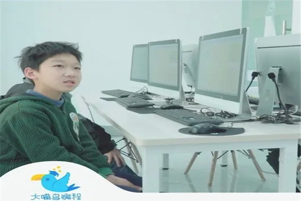 大嘴鸟少儿编程教育
