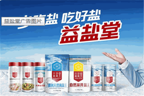 益盐堂调味品
