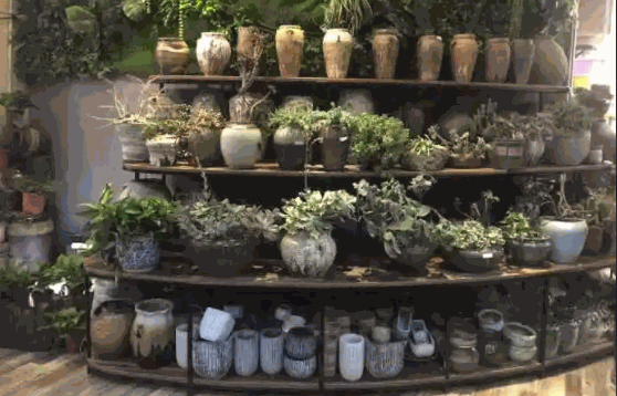 怀素堂花草生活馆店怎么样