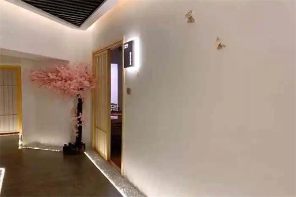 艾美丽可视采耳