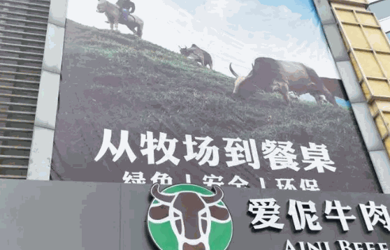 爱妮牛肉自助火锅费多少