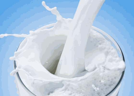 鲜奶站需要多少钱