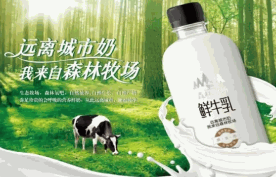 乍甸乳业费用多少钱