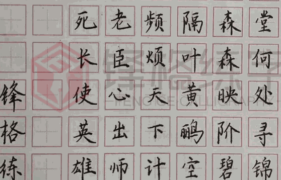锋格练字支持