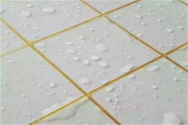 韦伯美缝剂