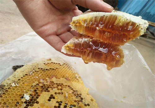 罗定森之源蜂蜜