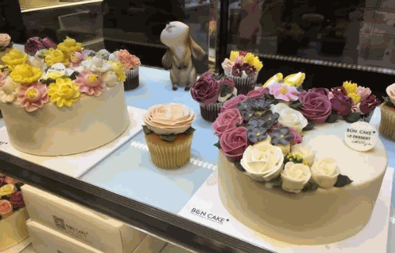 boncake费多少钱