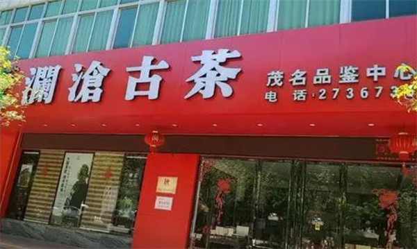 澜沧古茶茶叶