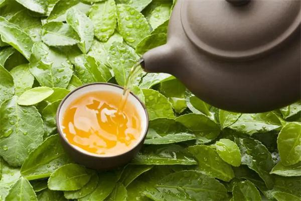 天恒茶叶