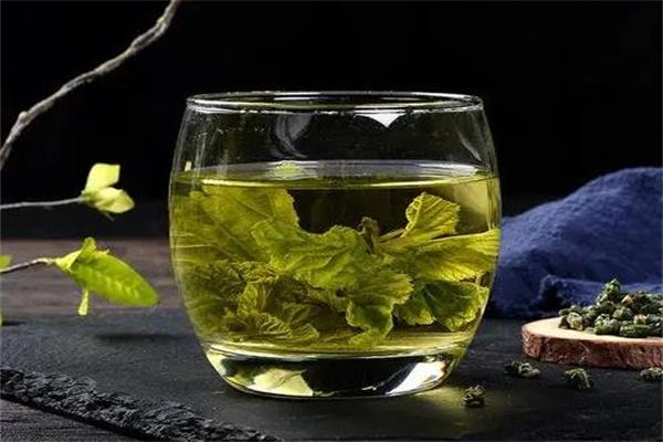 桑叶茶