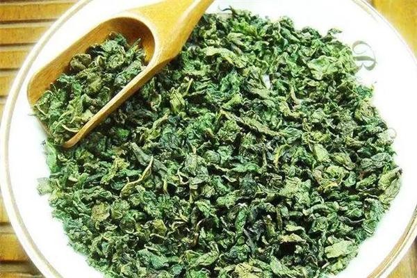 桑叶茶