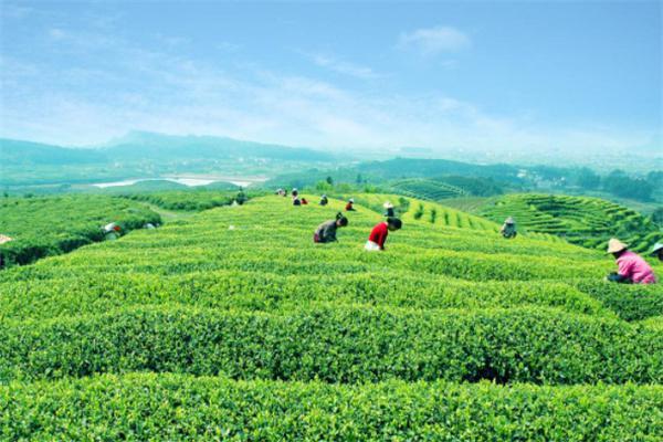 龙湖山