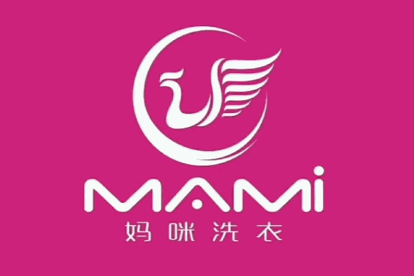 洁之圣洗衣