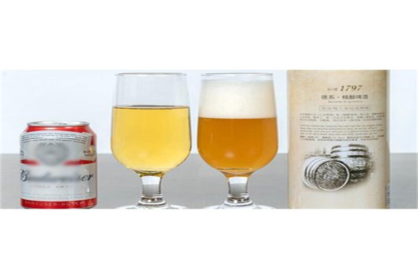 轩博精酿啤酒