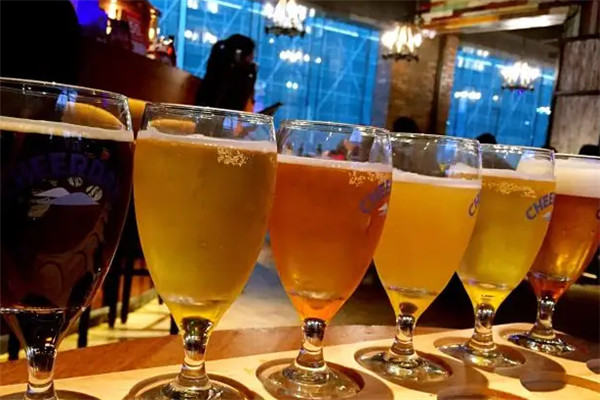 醉牛啤精酿啤酒加盟