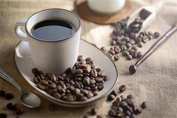 MaooCoffee猫窝咖啡