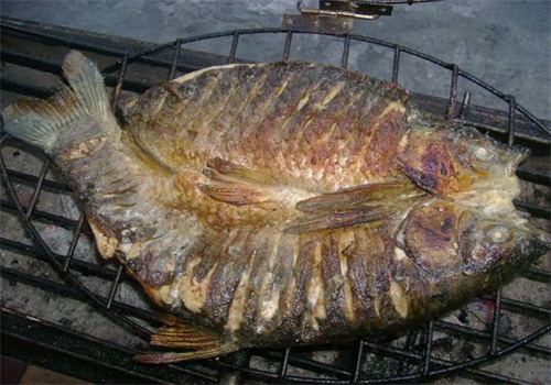 玉林烤鱼