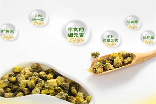 明钼胎菊花茶加盟