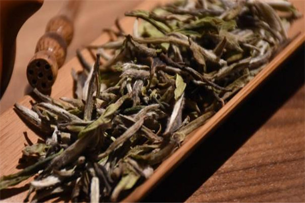 溢鼎春茶业加盟