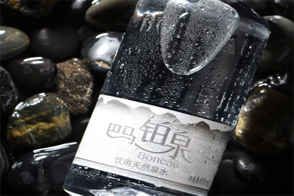 巴马铂泉天然矿泉水