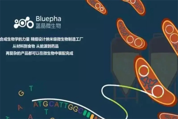 蓝晶微生物加盟