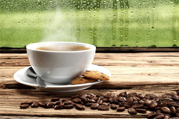 BARISTA每日咖啡师