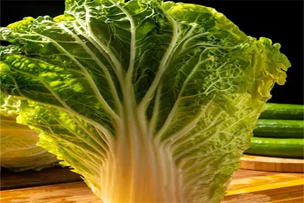 旺东大菜园商城