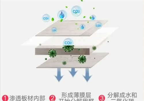 沐森光触媒