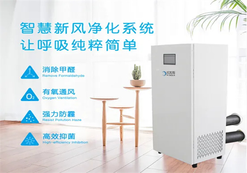 哈沃斯新风