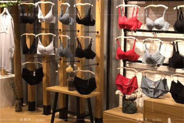 埃迪玛内衣店加盟